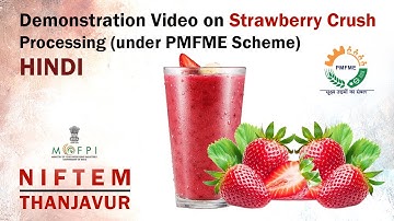 Demonstration Video on Strawberry Crush Processing (under PMFME Scheme) - HINDI