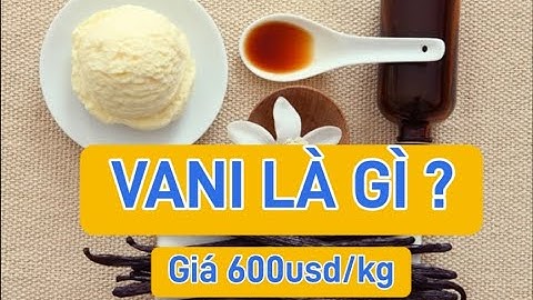 Kiến Thức Hay #03 - Vani Là Gì Mà Giá 13 Triệu 1 Kg