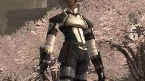 FFXI Sylph server RP community tribute video