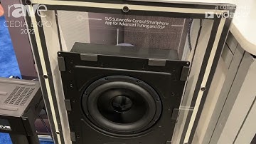 CEDIA Expo 22: SVS Adds SVS 3000 In-Wall Architectural Sub With Dual 9" Woofers, 2500 Watts Peak