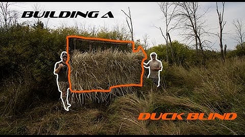 We Built a DUCK BLIND in the Marsh!