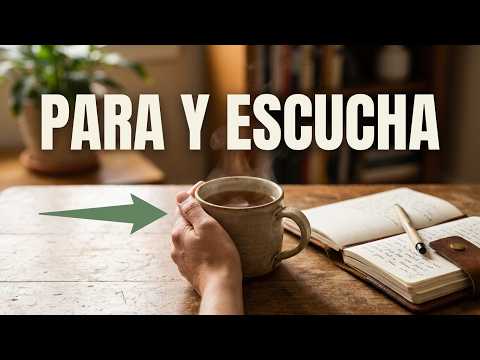 Vídeo explicativo del programa Reconnecta't
