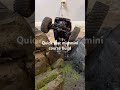 Quick test of the squeeze on the new course build#minicrawler #minicrawlercourse #scx24#axial #fypシ