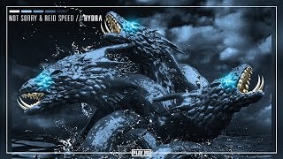 not sorry & Reid Speed - Hydra