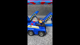 Ultimate Satisfaction Experience Paw Patrol Toys
