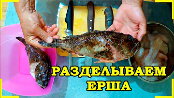 Как разделать морского ерша (скорпену)