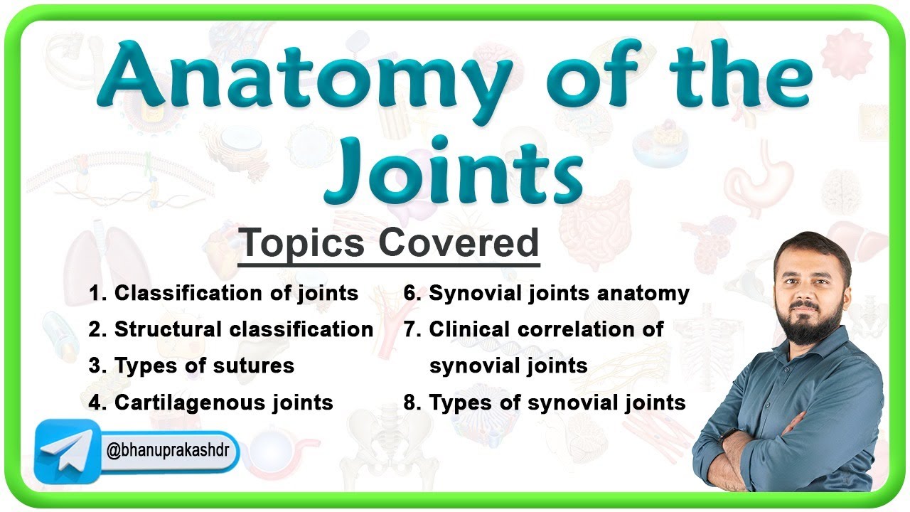 Anatomy of the Joints: Classification and Types! 💪💡 | Dr. Krishna Sahith | National Exit Test -1