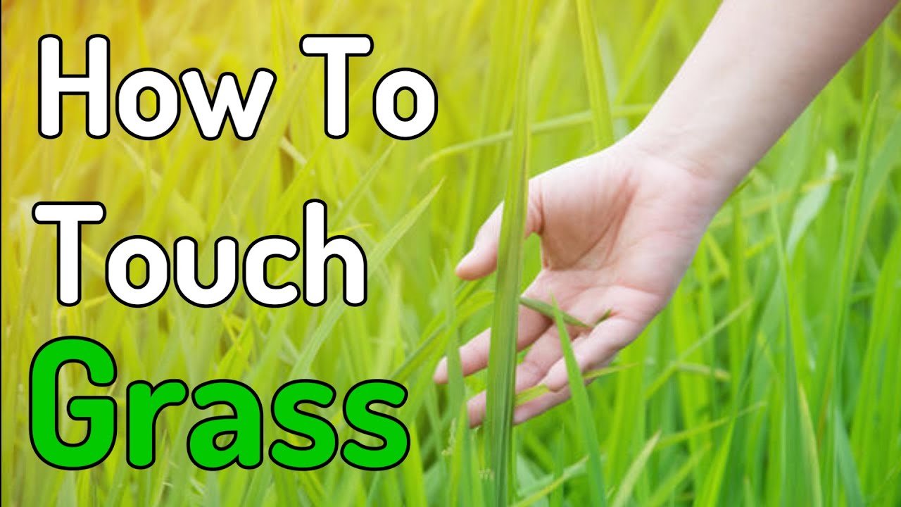 How to Touch Grass! [The Ultimate Guide] 