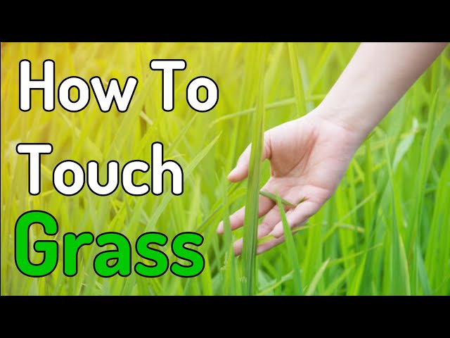 Step-by-step instructions of how to touch grass : r/weirddalle