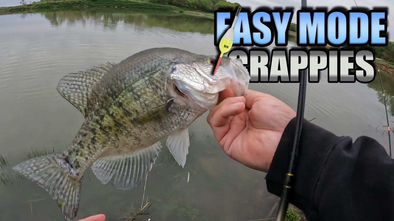 Don't Go Crappie Fishing Without THESE 3 Lures in 2023! 