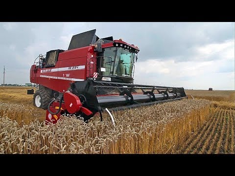 ПАЛЕССЕ GS2124: уборка