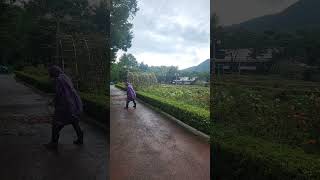 인천수목원 온실 영상