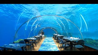 Kristina und Julian auf den Malediven, Part 7: Weltbestes Luxus-Unterwasserrestaurant