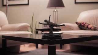 Chapman Application Video 2014 - James Reynov