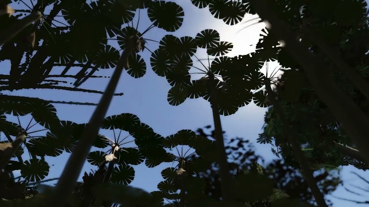 Trailer for *Gondwana*, a 24-hour durational VR experience supported by Screen Australia that premiered at Sundance 2022