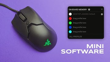 Razer Viper MINI Mouse - Synapse Software Review
