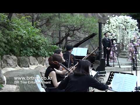 [비알트리] 석파정 결혼식 반주 - 사랑의 인사, 식전연주 [피아노솔로]