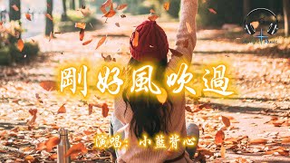 小藍背心 - 剛好風吹過『剛好風吹向我 剛好你看向我 剛好我們在時光裡交錯』【動態歌詞MV】