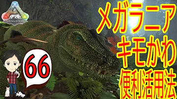 洞窟に潜む魔物 Lv140特選メガラニアをテイム Ark Survival Evolved Season3part54 公式pve تحميل Download Mp4 Mp3