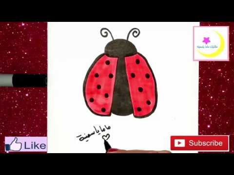 تعليم الرسم للأطفال رسم دعسوقه سهله