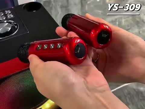 Портативна колонка з караоке мікрофонами YS309 10 W Bluetooth, HiFi, USB, microSD, AUX, Type-C, видео 1