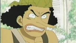 One Piece - Toonami Promo (May 21, 2005)