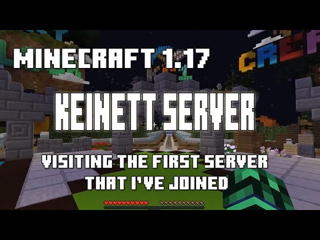 The First Server i joined in Minecraft