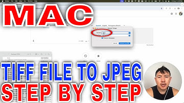 ✅ Hoe u een TIFF-bestand gratis naar JPEG kunt converteren op een Mac 🔴