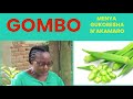 GUMBO OCRA ICYO ZIMAZE KUTWITE UWABYAYE NO KU BANTU BOSE MENYA NUKO WAZIKORESHA GUMBO OCRA ICYO ZIMAZE KUTWITE UWABYAYE NO KU BANTU BOSE MENYA NUKO WAZIKORESHA