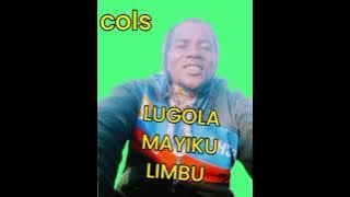 LIMBU -LUCHAGULA -KOLASI2025 msambazaji lyamafaili affica 2025