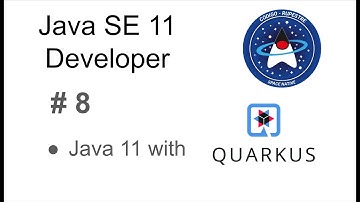 Java SE 11 Developer - 08