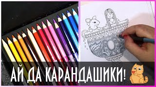 АЙ ДА КАРАНДАШИКИ! Карандаши Chameleon и Раскраска Антистресс “Айви и Чернильная Бабочка”