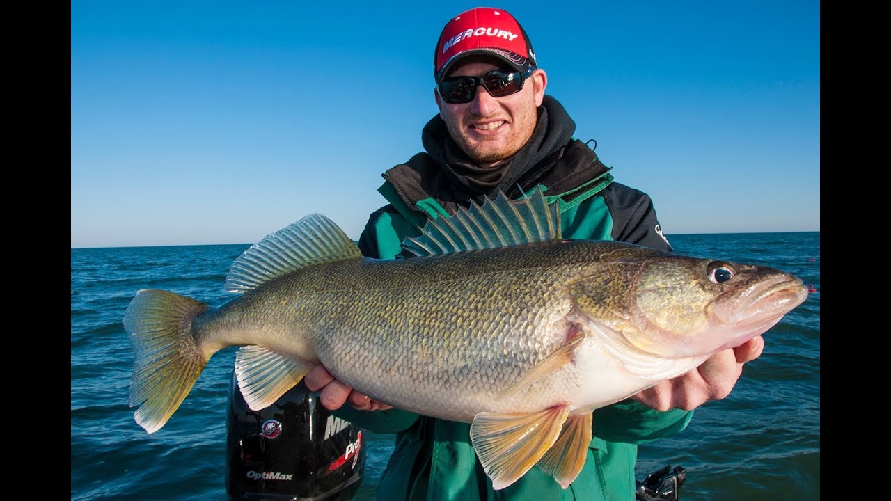 Field & Stream's Hook Shots, Season 6, Ep 2 Insane Ohio Walleye Action
