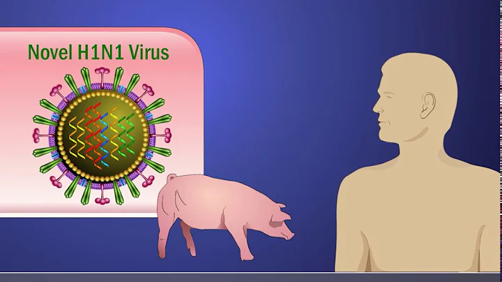 Antigenic Shift and the H1N1 Influenza A Virus - DayDayNews
