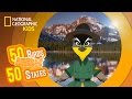 Montana Facts and Trivia
