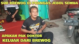 Download Lagu Pak doktor mengaku sub brewog di prangas jebol semua ‼️ MP3 Download Lagu Pak doktor mengaku sub brewog di prangas jebol semua ‼️ MP3