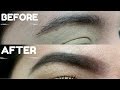 Everyday eyebrow tutorial  beauty basics  marisa lablue