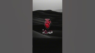 الذین آمنوا وتطمئن قلوبهم بذكر الله - عبد الرحمن مسعد - سورة الرعد