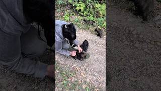 Что за люди?! #приют #щенок #shelter #puppy #helpanimals #helpdogs #charity #dogvideos #puppylove