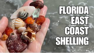 What's on Florida East Coast beaches? I found several first time finds!