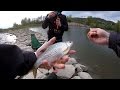 Bottom Fishing in Danube River in AUSTRIA