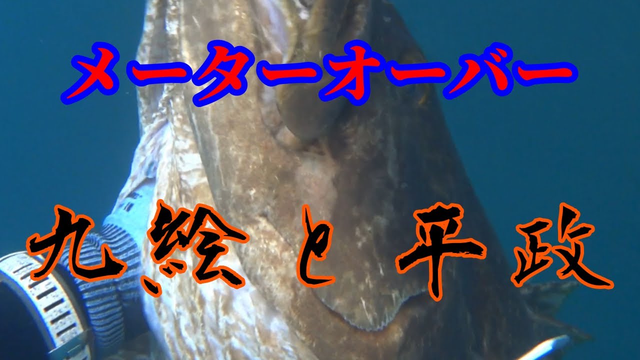 素潜り漁師 メータークエ ヒラマサ 魚突き Youtube