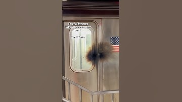 All trains in NYC are dirty… period ￼