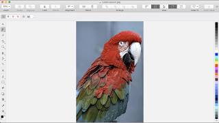 Smart Selection Mask Tool