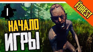 The Forest VR Прохождение ► ᶰОͦДͭИНͣˡ ͦᶰ ͤВ ЛЕСУ ??? The Forest VR Прохождение ► ᶰОͦДͭИНͣˡ ͦᶰ ͤВ ЛЕСУ ???
