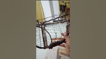 Sangkar pikat merbok || sangkar jebak perkutut    ..   rekber shopee https://shp.ee/r6sdzbe