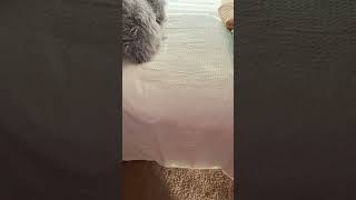 Quality bedding just feels different! #bedding Bedsure #bedsure #duvet #sleep