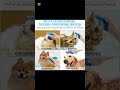 Dog Paw Cleaner, Washer #youtubeshort #dogs