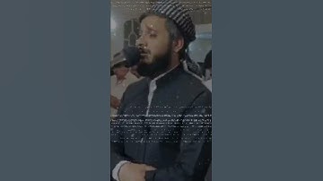 من اروع القرائات القران للقارئ مصطفی الكردي