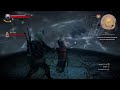 The Witcher 3||Aua?!?